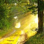 ヒメ日記 2025/10/11 08:36 投稿 天海さら 五十路マダムエクスプレス横浜店（カサブランカグループ）