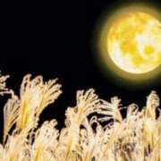 ヒメ日記 2025/11/03 22:10 投稿 天海さら 五十路マダムエクスプレス横浜店（カサブランカグループ）