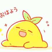 天海さら おはようございます 五十路マダムエクスプレス横浜店（カサブランカグループ）