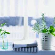 ヒメ日記 2025/12/09 09:28 投稿 天海さら 五十路マダムエクスプレス横浜店（カサブランカグループ）