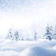 ヒメ日記 2025/12/29 10:44 投稿 天海さら 五十路マダムエクスプレス横浜店（カサブランカグループ）