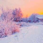 ヒメ日記 2026/01/10 08:08 投稿 天海さら 五十路マダムエクスプレス横浜店（カサブランカグループ）