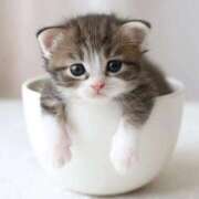 ヒメ日記 2026/01/10 21:50 投稿 天海さら 五十路マダムエクスプレス横浜店（カサブランカグループ）