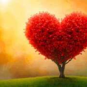 ヒメ日記 2026/01/17 22:56 投稿 天海さら 五十路マダムエクスプレス横浜店（カサブランカグループ）