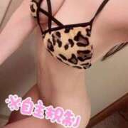 ヒメ日記 2026/01/08 17:51 投稿 ひかる 風神会館新宿店