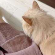 ヒメ日記 2025/09/20 18:21 投稿 望愛【ノア】 LOVEキタ兎我野店