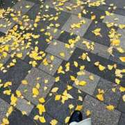 ヒメ日記 2025/12/09 19:53 投稿 望愛【ノア】 LOVEキタ兎我野店