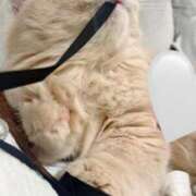 ヒメ日記 2025/12/13 21:43 投稿 望愛【ノア】 LOVEキタ兎我野店