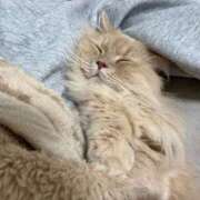 ヒメ日記 2025/12/27 14:28 投稿 望愛【ノア】 LOVEキタ兎我野店