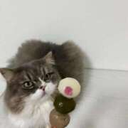 ヒメ日記 2026/01/05 16:43 投稿 望愛【ノア】 LOVEキタ兎我野店