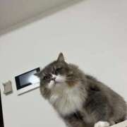 ヒメ日記 2026/01/07 19:22 投稿 望愛【ノア】 LOVEキタ兎我野店