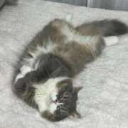 ヒメ日記 2026/01/24 18:33 投稿 望愛【ノア】 LOVEキタ兎我野店