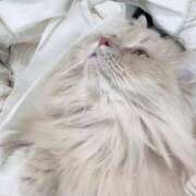 ヒメ日記 2026/02/07 15:53 投稿 望愛【ノア】 LOVEキタ兎我野店