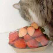 ヒメ日記 2026/02/10 22:03 投稿 望愛【ノア】 LOVEキタ兎我野店