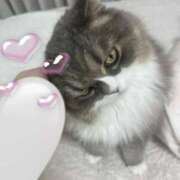 ヒメ日記 2026/02/14 15:13 投稿 望愛【ノア】 LOVEキタ兎我野店