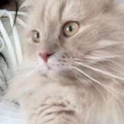 ヒメ日記 2026/02/18 22:12 投稿 望愛【ノア】 LOVEキタ兎我野店