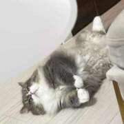 ヒメ日記 2026/02/28 18:13 投稿 望愛【ノア】 LOVEキタ兎我野店