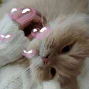 ヒメ日記 2026/03/07 16:23 投稿 望愛【ノア】 LOVEキタ兎我野店