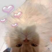 ヒメ日記 2026/03/11 19:09 投稿 望愛【ノア】 LOVEキタ兎我野店