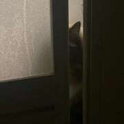 ヒメ日記 2026/03/21 19:03 投稿 望愛【ノア】 LOVEキタ兎我野店