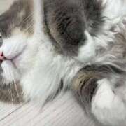 ヒメ日記 2026/03/24 16:21 投稿 望愛【ノア】 LOVEキタ兎我野店