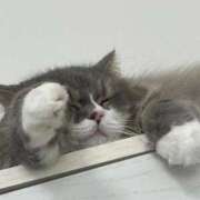 ヒメ日記 2026/03/28 18:03 投稿 望愛【ノア】 LOVEキタ兎我野店