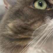 ヒメ日記 2026/03/30 21:13 投稿 望愛【ノア】 LOVEキタ兎我野店