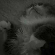 ヒメ日記 2026/04/11 16:13 投稿 望愛【ノア】 LOVEキタ兎我野店