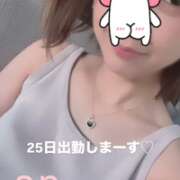 ヒメ日記 2025/09/16 01:03 投稿 あん 木更津人妻花壇