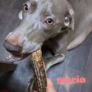 ヒメ日記 2025/09/17 09:09 投稿 あん 木更津人妻花壇