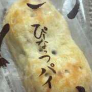 ヒメ日記 2025/11/20 08:03 投稿 あん 木更津人妻花壇