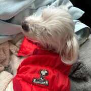 ヒメ日記 2025/11/26 16:47 投稿 あん 木更津人妻花壇