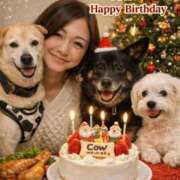 ヒメ日記 2025/12/25 12:14 投稿 あん 木更津人妻花壇