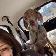 ヒメ日記 2026/01/08 12:00 投稿 あん 木更津人妻花壇