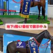 ヒメ日記 2026/01/14 17:31 投稿 あん 木更津人妻花壇