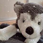 ヒメ日記 2026/01/24 10:10 投稿 あん 木更津人妻花壇