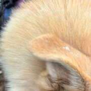 ヒメ日記 2026/02/07 13:20 投稿 あん 木更津人妻花壇