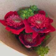 あん 追加 U^ェ^U 木更津人妻花壇