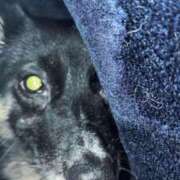 ヒメ日記 2026/03/24 09:28 投稿 あん 木更津人妻花壇
