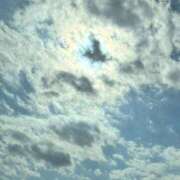 ヒメ日記 2026/03/26 08:39 投稿 あん 木更津人妻花壇