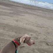 ヒメ日記 2026/04/07 09:06 投稿 あん 木更津人妻花壇