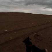 ヒメ日記 2026/04/07 23:06 投稿 あん 木更津人妻花壇