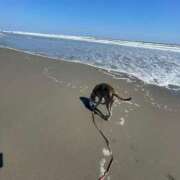 ヒメ日記 2026/04/11 16:30 投稿 あん 木更津人妻花壇