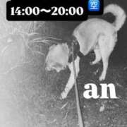 ヒメ日記 2026/04/12 22:33 投稿 あん 木更津人妻花壇