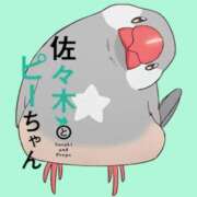 ヒメ日記 2026/05/24 08:36 投稿 あん 木更津人妻花壇