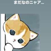 ヒメ日記 2026/08/04 23:46 投稿 あん 木更津人妻花壇
