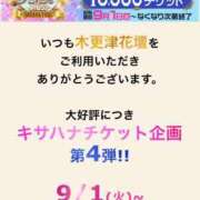 ヒメ日記 2026/09/08 12:11 投稿 あん 木更津人妻花壇