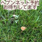 ヒメ日記 2026/09/11 12:14 投稿 あん 木更津人妻花壇