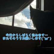 ヒメ日記 2026/09/15 12:26 投稿 あん 木更津人妻花壇