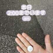 ヒメ日記 2026/10/11 23:18 投稿 あん 木更津人妻花壇